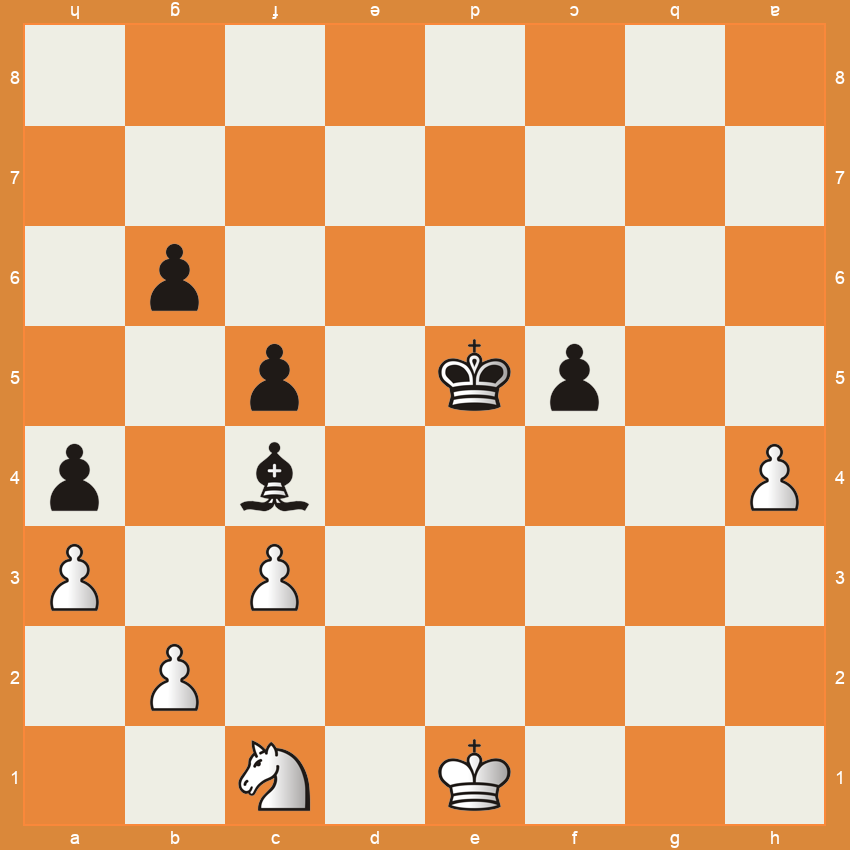 Chess Position